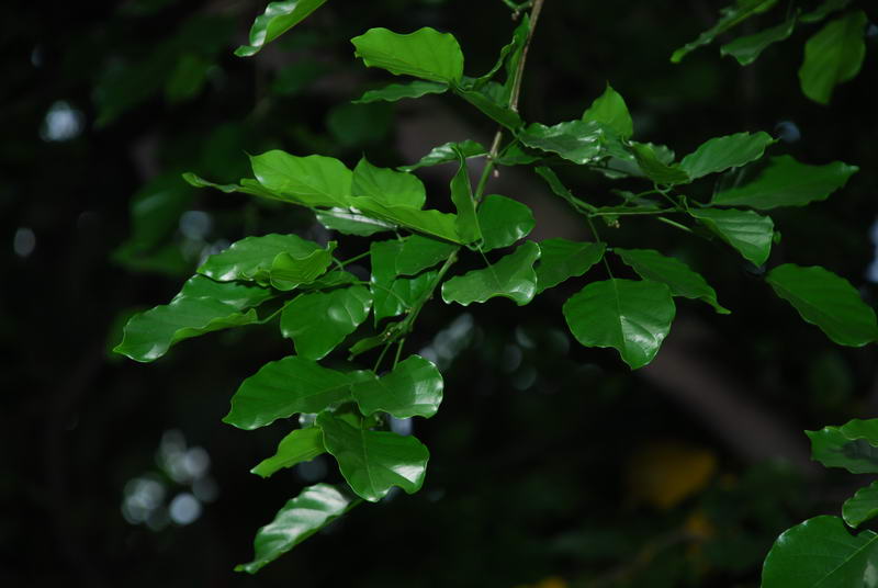 «ö¦¹¦b·sµøµ¡ÂsÄý¹Ï¤ù