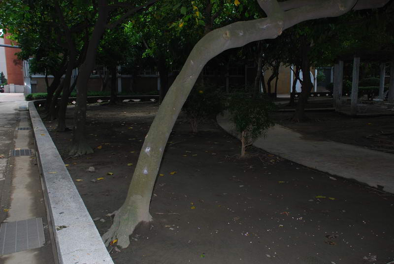 «ö¦¹¦b·sµøµ¡ÂsÄý¹Ï¤ù