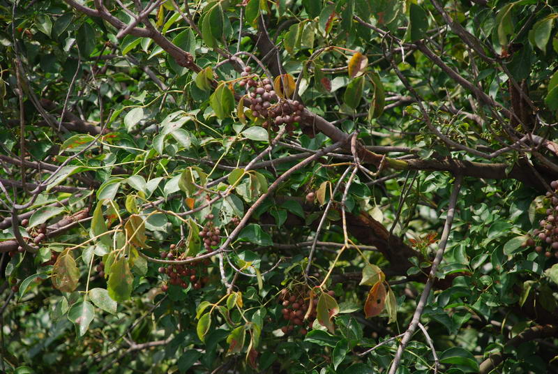 «ö¦¹¦b·sµøµ¡ÂsÄý¹Ï¤ù