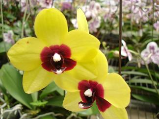 «ö¦¹¦b·sµøµ¡ÂsÄý¹Ï¤ù