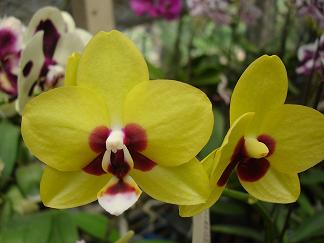 «ö¦¹¦b·sµøµ¡ÂsÄý¹Ï¤ù