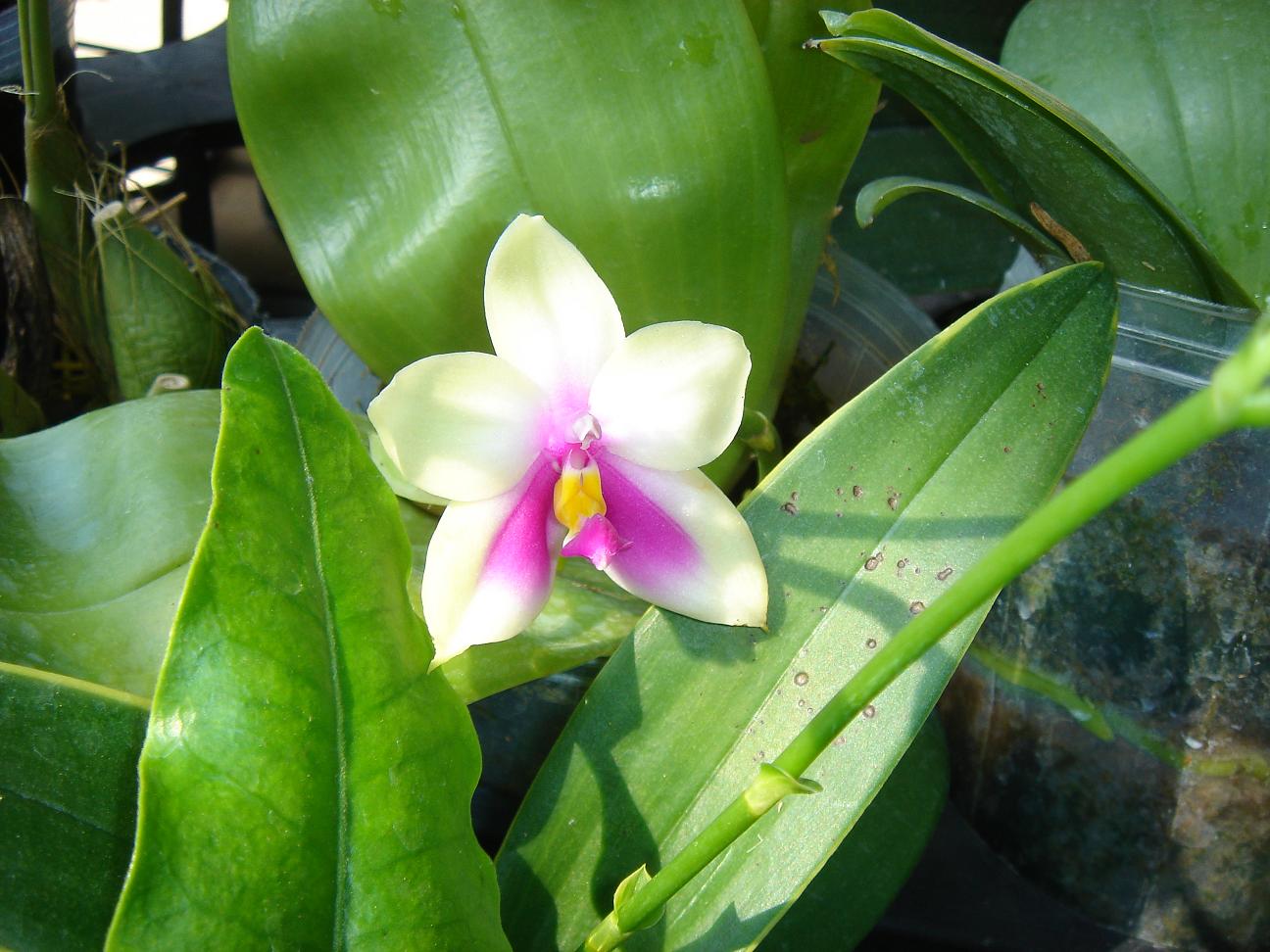 «ö¦¹¦b·sµøµ¡ÂsÄý¹Ï¤ù