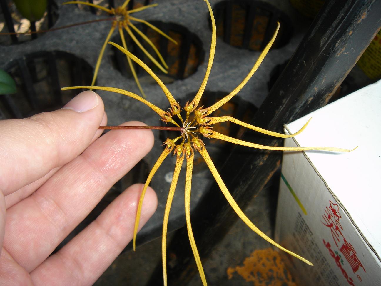 «ö¦¹¦b·sµøµ¡ÂsÄý¹Ï¤ù