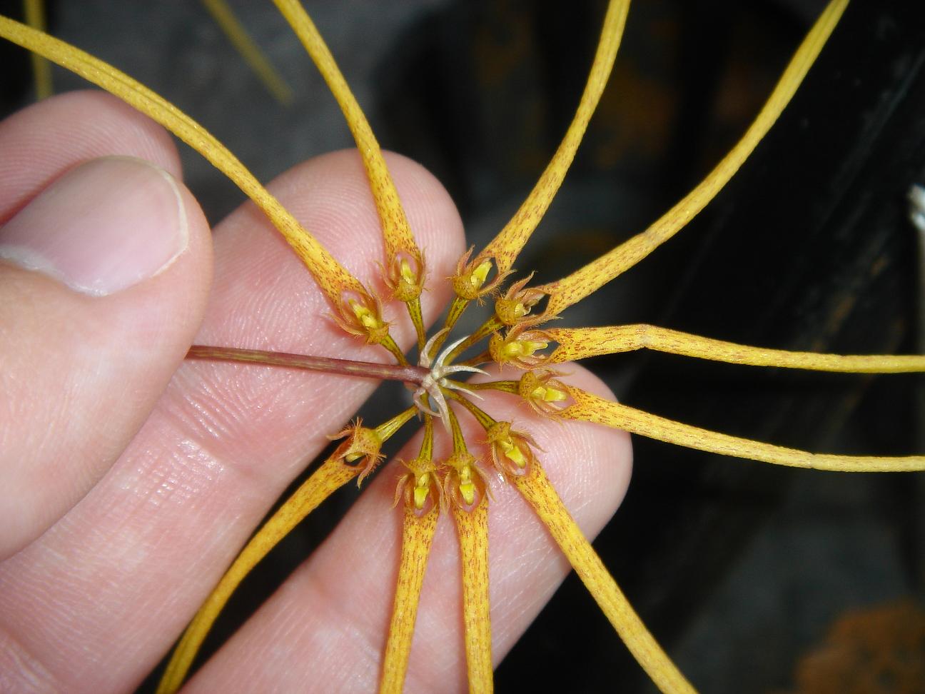 «ö¦¹¦b·sµøµ¡ÂsÄý¹Ï¤ù