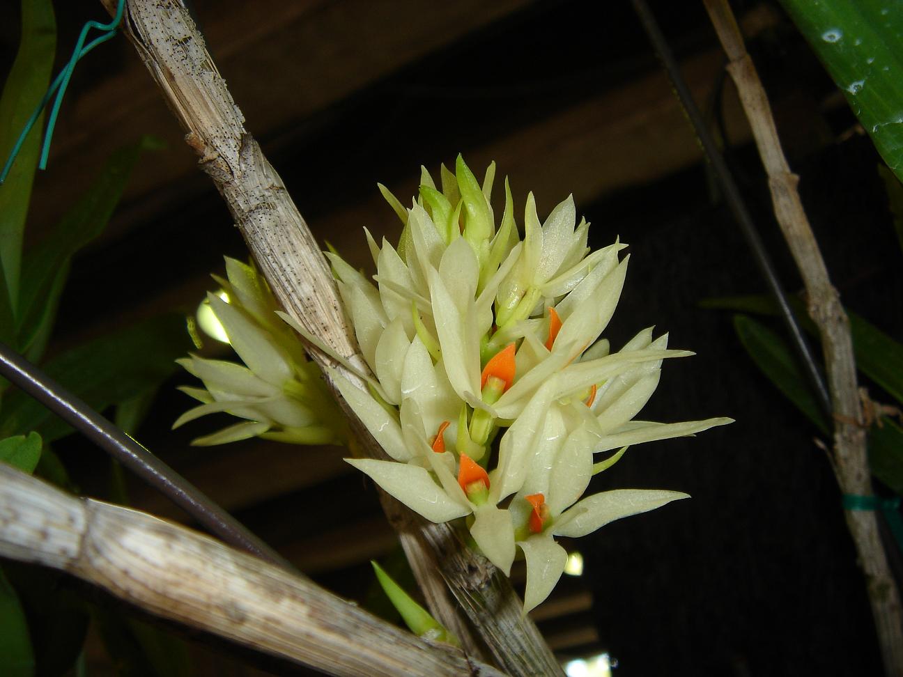 «ö¦¹¦b·sµøµ¡ÂsÄý¹Ï¤ù