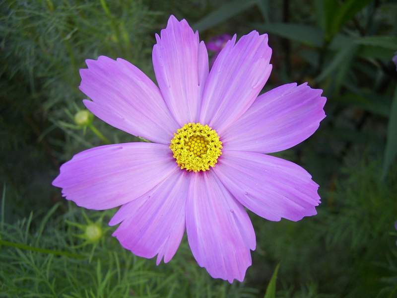 «ö¦¹¦b·sµøµ¡ÂsÄý¹Ï¤ù