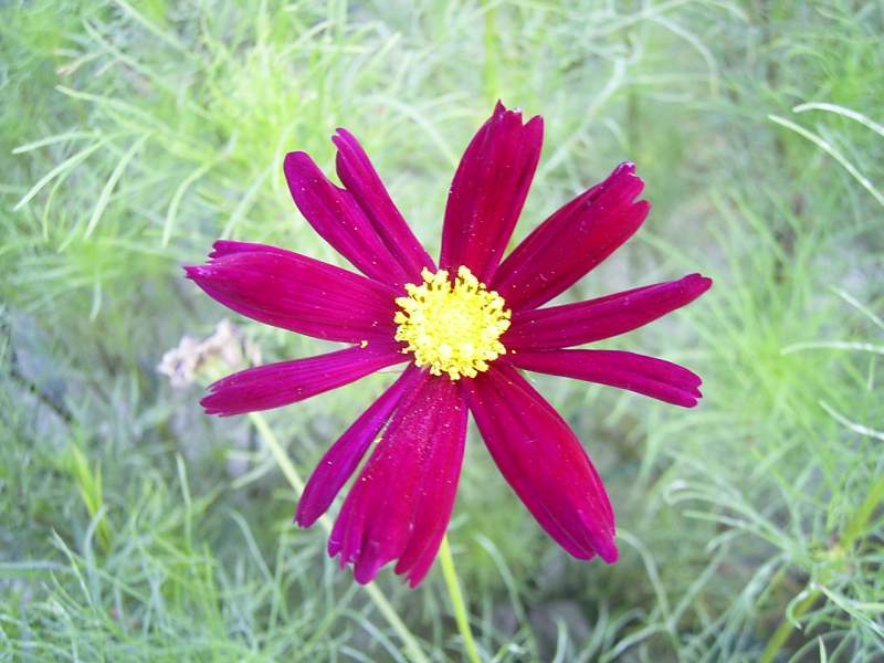 «ö¦¹¦b·sµøµ¡ÂsÄý¹Ï¤ù