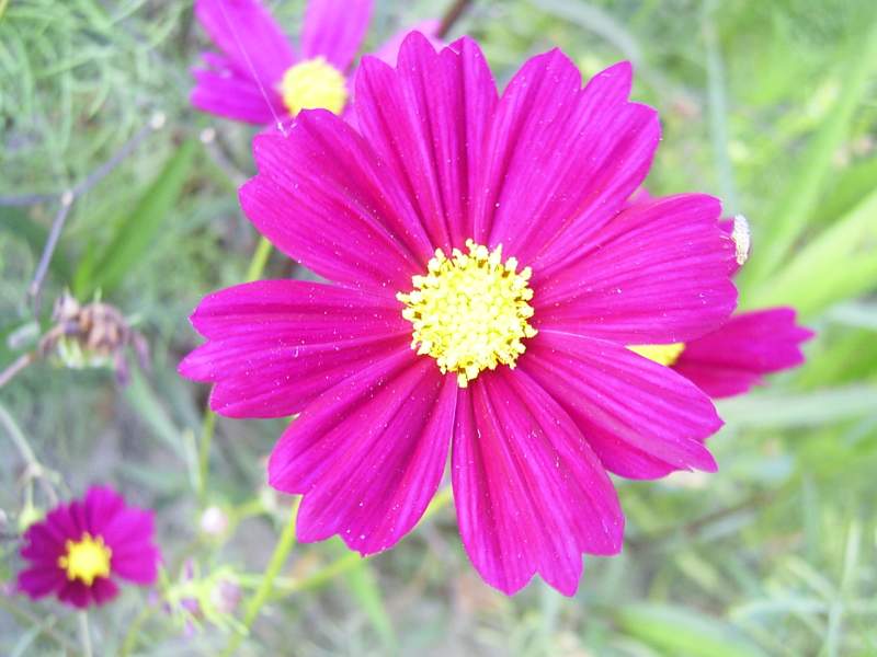 «ö¦¹¦b·sµøµ¡ÂsÄý¹Ï¤ù