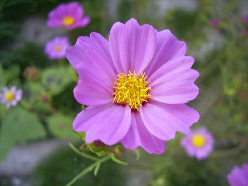 «ö¦¹¦b·sµøµ¡ÂsÄý¹Ï¤ù