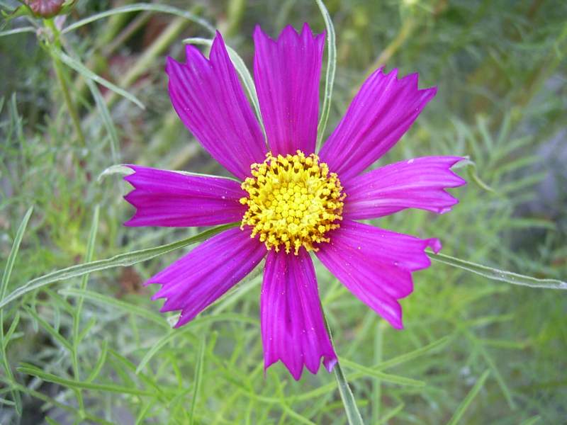 «ö¦¹¦b·sµøµ¡ÂsÄý¹Ï¤ù