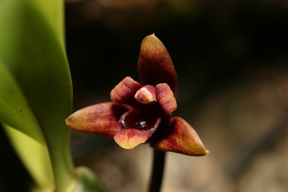 «ö¦¹¦b·sµøµ¡ÂsÄý¹Ï¤ù