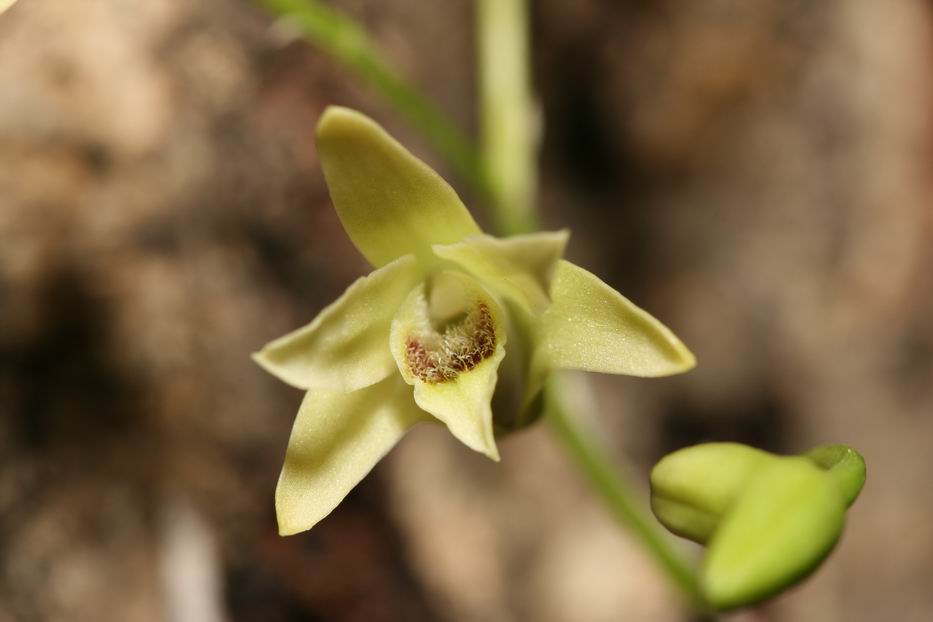 «ö¦¹¦b·sµøµ¡ÂsÄý¹Ï¤ù