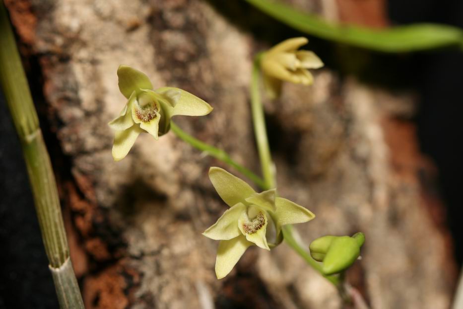 «ö¦¹¦b·sµøµ¡ÂsÄý¹Ï¤ù