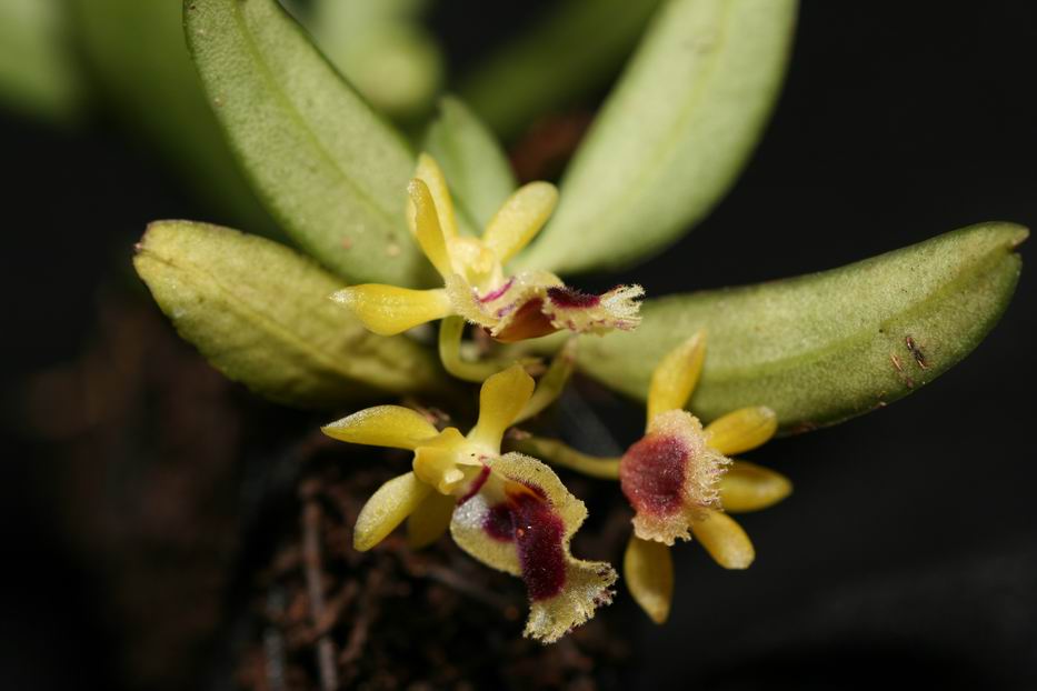 «ö¦¹¦b·sµøµ¡ÂsÄý¹Ï¤ù