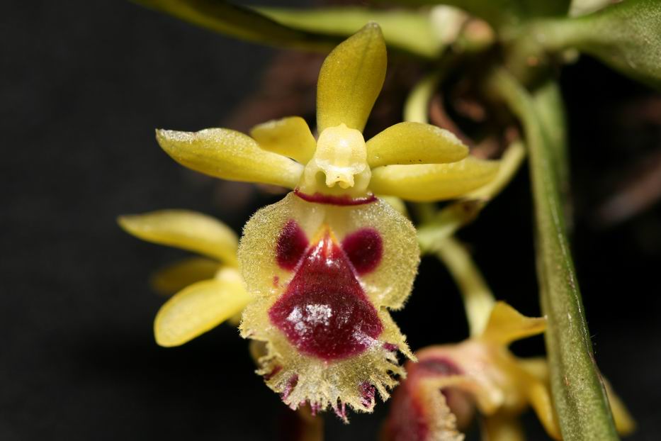 «ö¦¹¦b·sµøµ¡ÂsÄý¹Ï¤ù