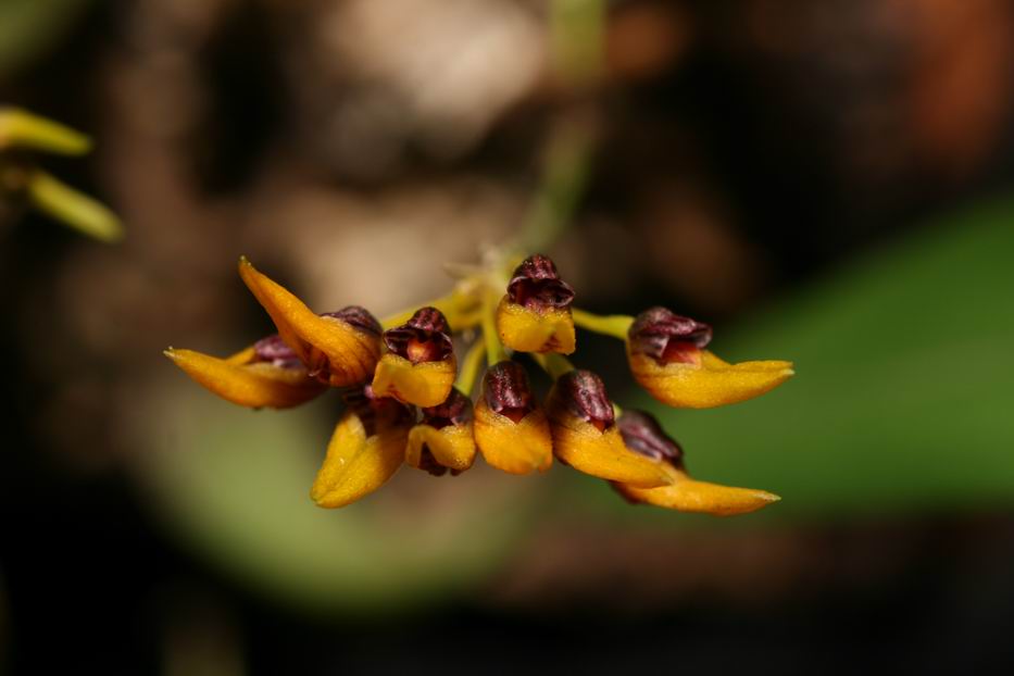 «ö¦¹¦b·sµøµ¡ÂsÄý¹Ï¤ù