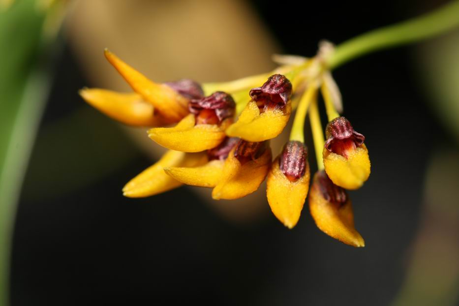 «ö¦¹¦b·sµøµ¡ÂsÄý¹Ï¤ù