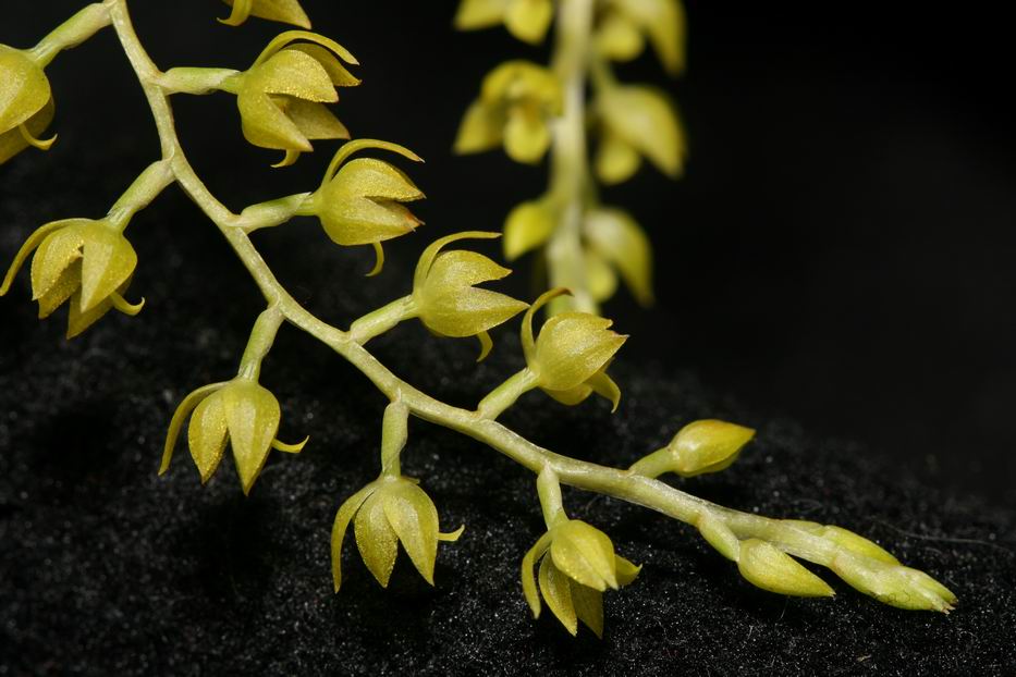 «ö¦¹¦b·sµøµ¡ÂsÄý¹Ï¤ù