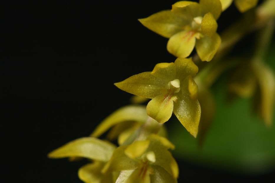 «ö¦¹¦b·sµøµ¡ÂsÄý¹Ï¤ù