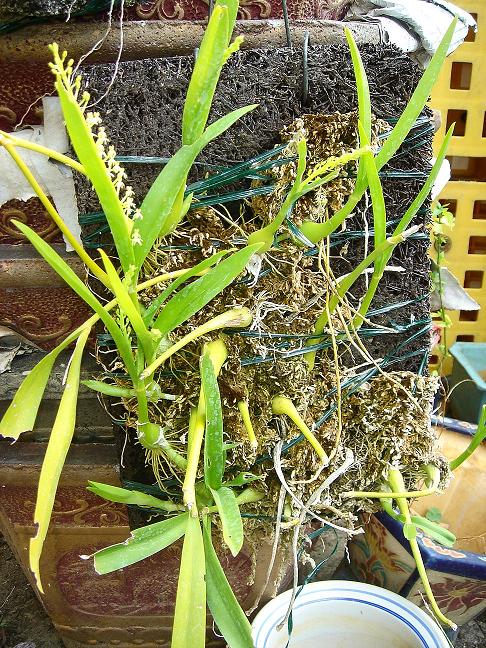 «ö¦¹¦b·sµøµ¡ÂsÄý¹Ï¤ù