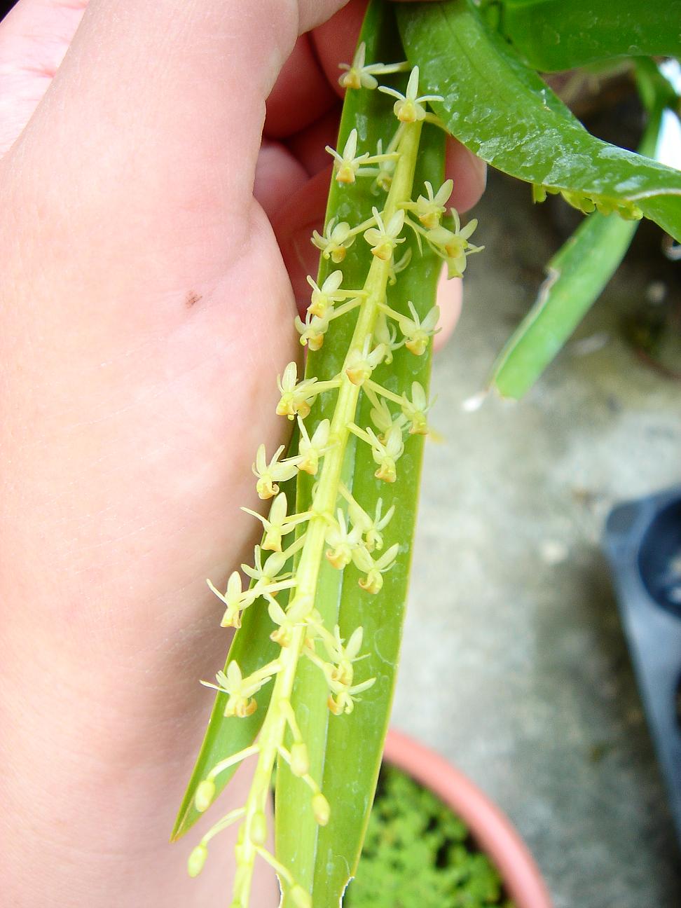 «ö¦¹¦b·sµøµ¡ÂsÄý¹Ï¤ù