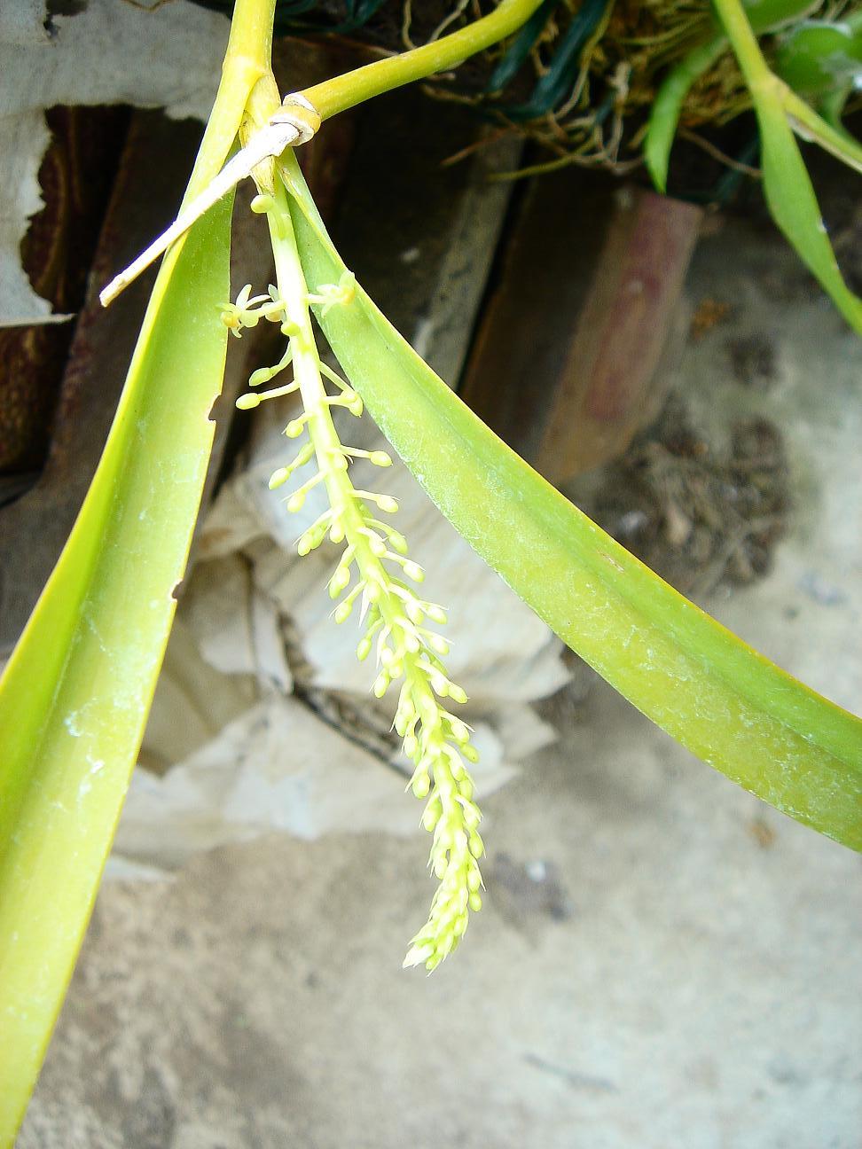 «ö¦¹¦b·sµøµ¡ÂsÄý¹Ï¤ù