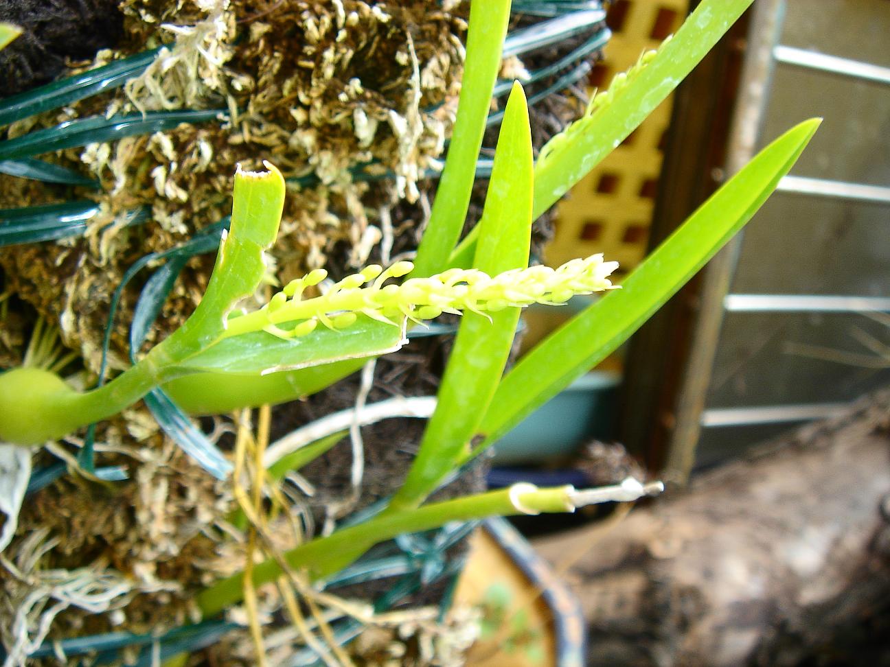 «ö¦¹¦b·sµøµ¡ÂsÄý¹Ï¤ù