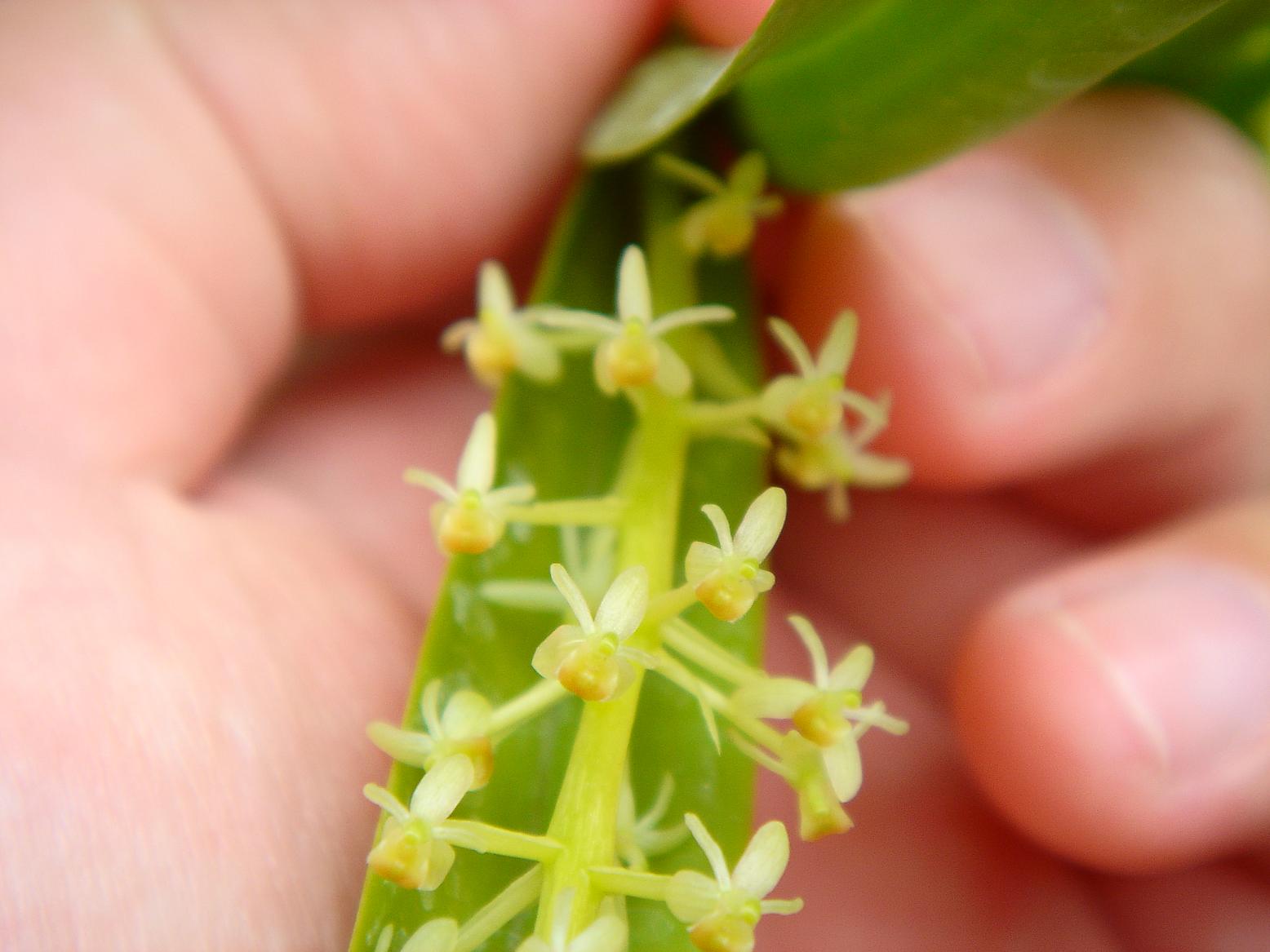 «ö¦¹¦b·sµøµ¡ÂsÄý¹Ï¤ù