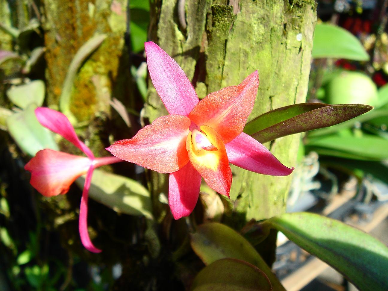 «ö¦¹¦b·sµøµ¡ÂsÄý¹Ï¤ù