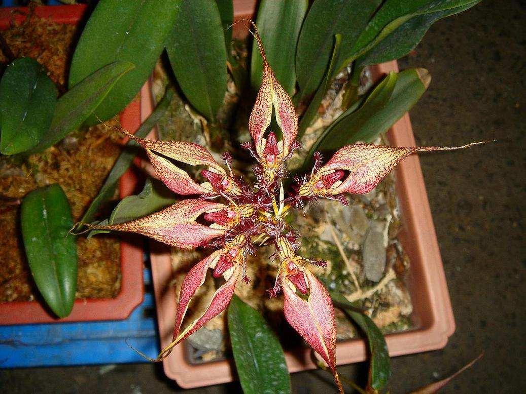 «ö¦¹¦b·sµøµ¡ÂsÄý¹Ï¤ù