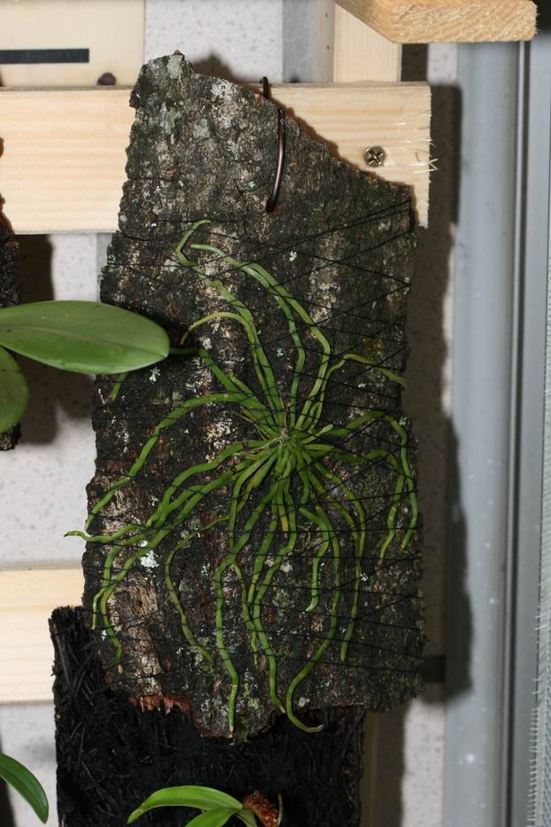 «ö¦¹¦b·sµøµ¡ÂsÄý¹Ï¤ù