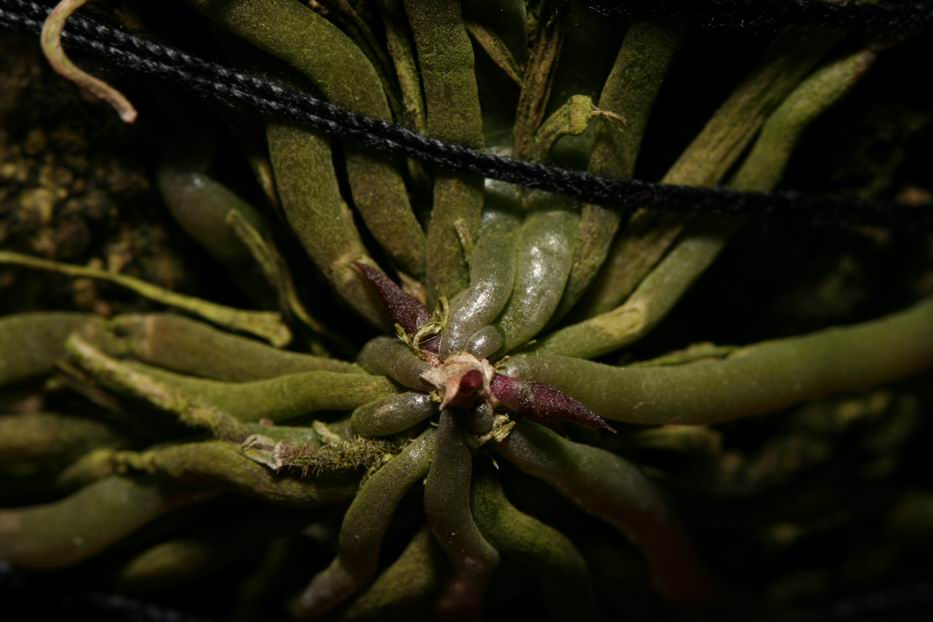 «ö¦¹¦b·sµøµ¡ÂsÄý¹Ï¤ù