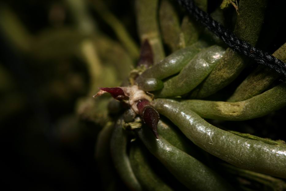 «ö¦¹¦b·sµøµ¡ÂsÄý¹Ï¤ù