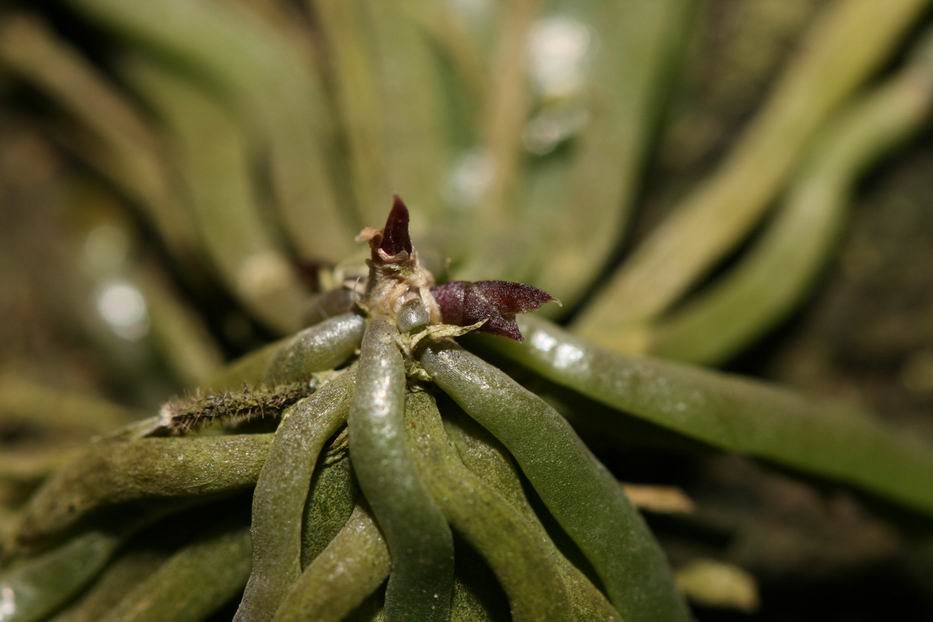 «ö¦¹¦b·sµøµ¡ÂsÄý¹Ï¤ù