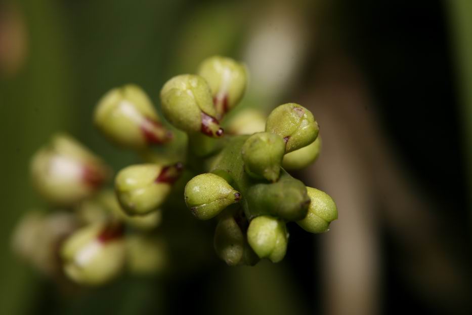 «ö¦¹¦b·sµøµ¡ÂsÄý¹Ï¤ù