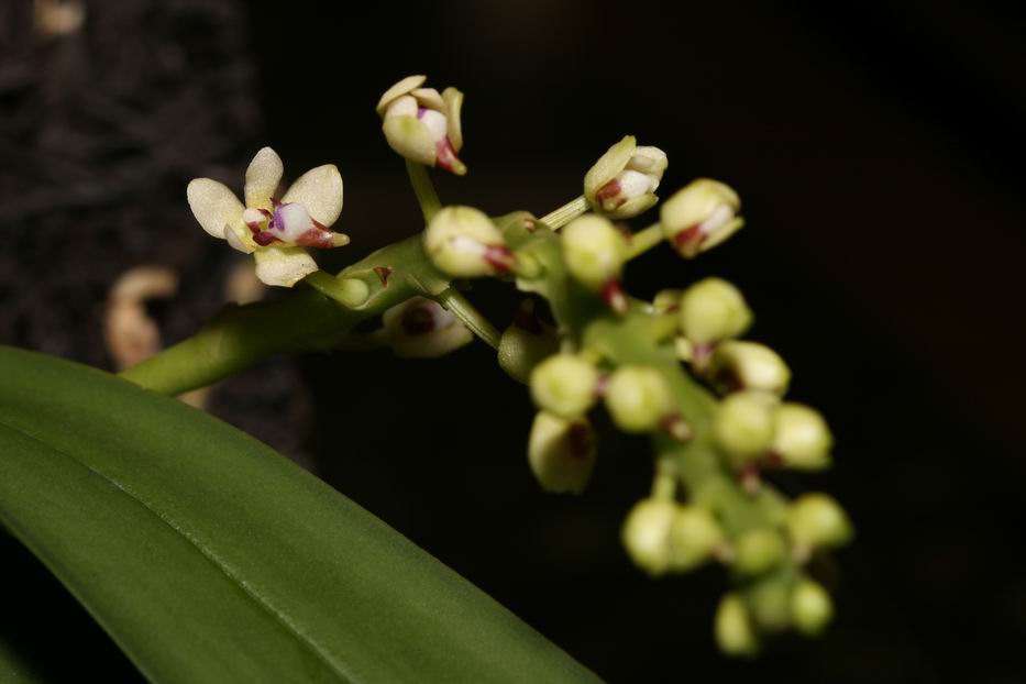 «ö¦¹¦b·sµøµ¡ÂsÄý¹Ï¤ù