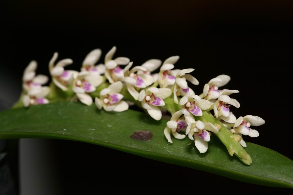 «ö¦¹¦b·sµøµ¡ÂsÄý¹Ï¤ù