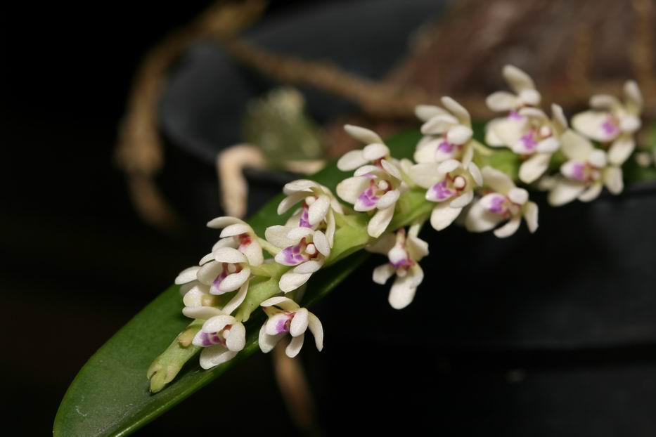 «ö¦¹¦b·sµøµ¡ÂsÄý¹Ï¤ù