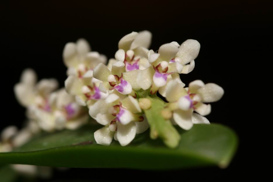 «ö¦¹¦b·sµøµ¡ÂsÄý¹Ï¤ù