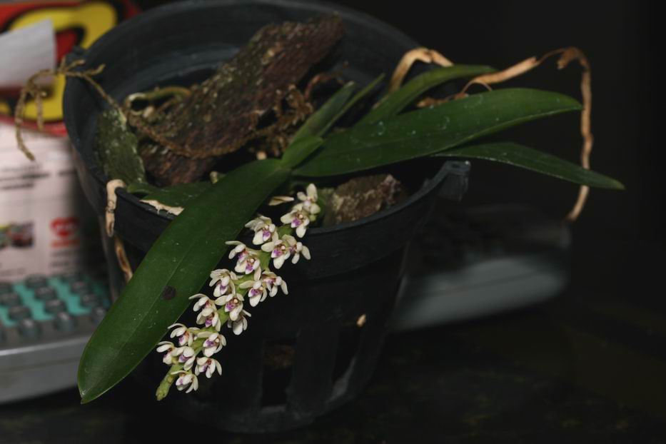 «ö¦¹¦b·sµøµ¡ÂsÄý¹Ï¤ù