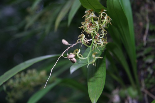 «ö¦¹¦b·sµøµ¡ÂsÄý¹Ï¤ù