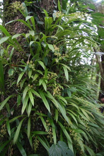 «ö¦¹¦b·sµøµ¡ÂsÄý¹Ï¤ù