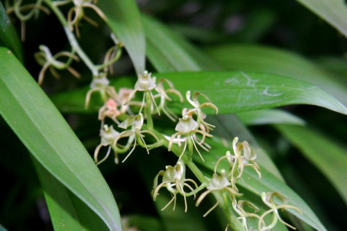 «ö¦¹¦b·sµøµ¡ÂsÄý¹Ï¤ù