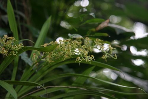 «ö¦¹¦b·sµøµ¡ÂsÄý¹Ï¤ù