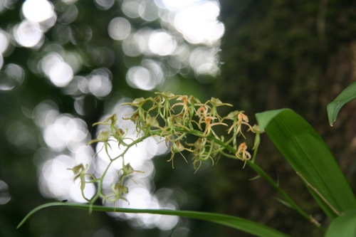 «ö¦¹¦b·sµøµ¡ÂsÄý¹Ï¤ù