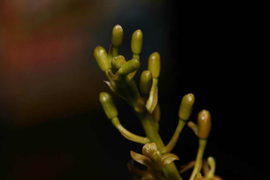 «ö¦¹¦b·sµøµ¡ÂsÄý¹Ï¤ù