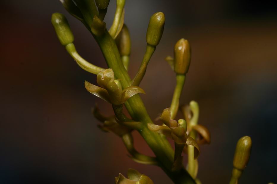 «ö¦¹¦b·sµøµ¡ÂsÄý¹Ï¤ù