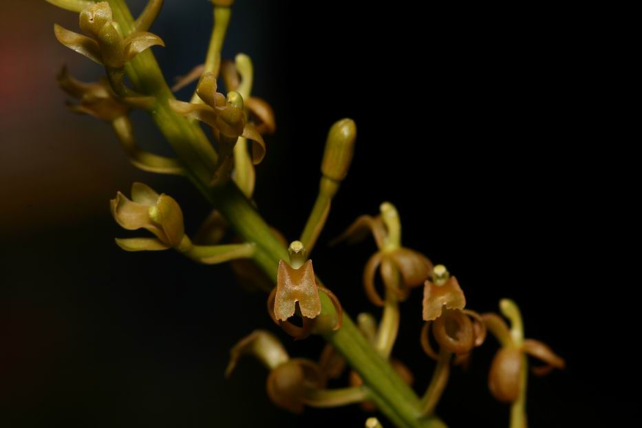 «ö¦¹¦b·sµøµ¡ÂsÄý¹Ï¤ù