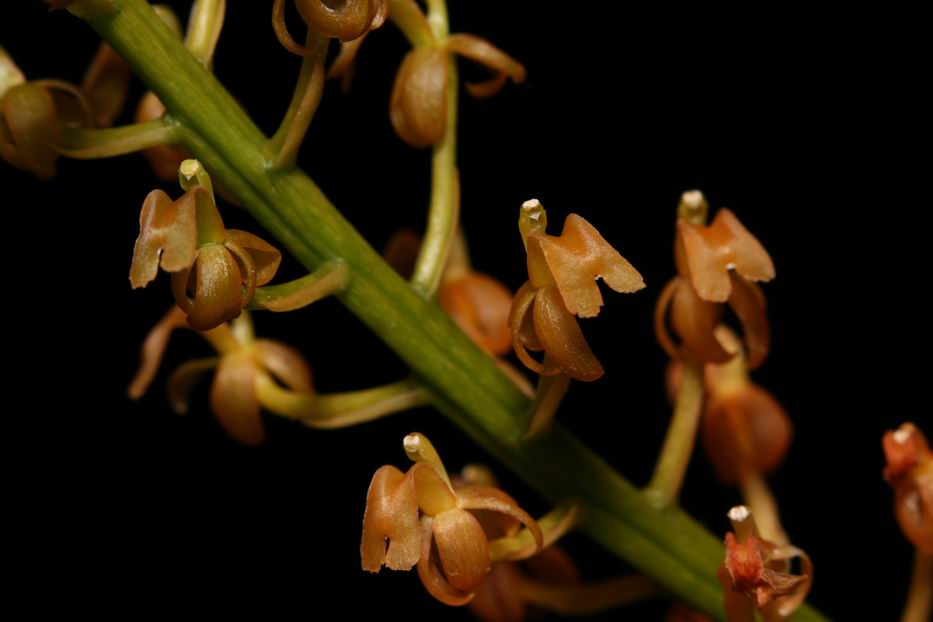 «ö¦¹¦b·sµøµ¡ÂsÄý¹Ï¤ù