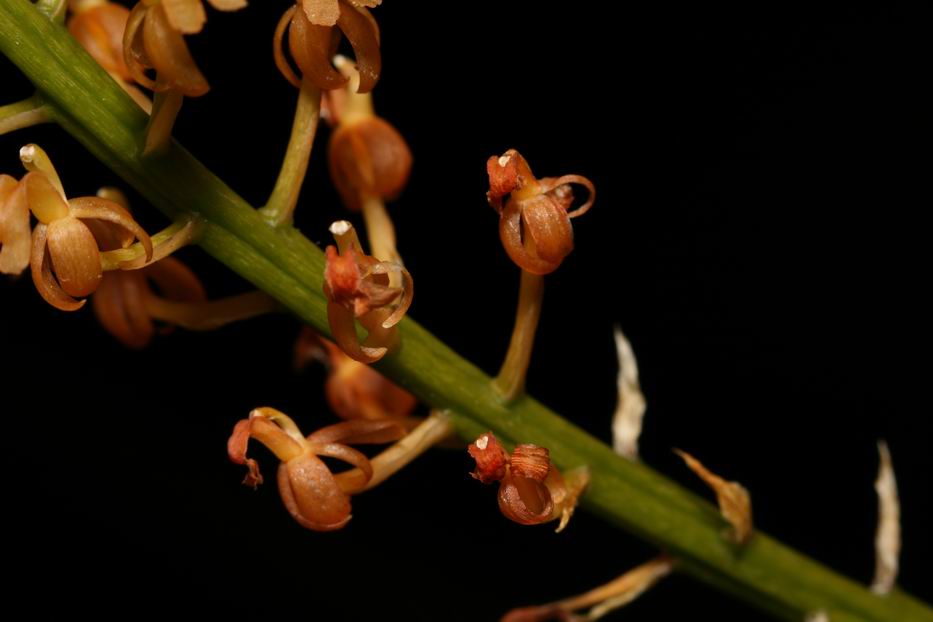 «ö¦¹¦b·sµøµ¡ÂsÄý¹Ï¤ù